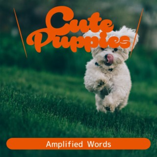 Amplified Words