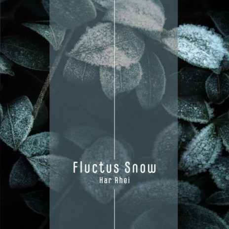 Fluctus Snow | Boomplay Music