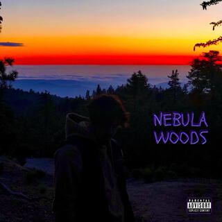 NEBULA WOODS - EP