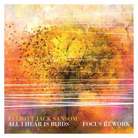 All I Hear Is Birds (Focus Rework) ft. Matt Robertson | Boomplay Music