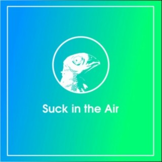 Suck In The Air