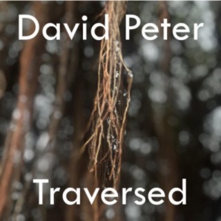 David Peter