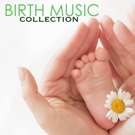 Beautiful Baby | Boomplay Music