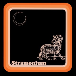 Stramonium