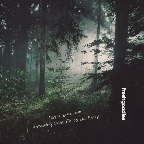Something Called Me to the Forest ft. saint rumi | Boomplay Music