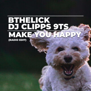 Make You Happy (Radio Edit)