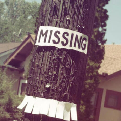 missing poster | Boomplay Music