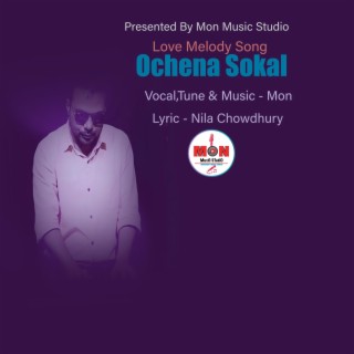 Ochena Sokal