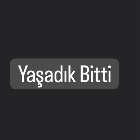 Yaşadı Bitti