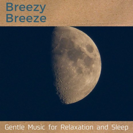 Soothing Music for Sleep | Boomplay Music