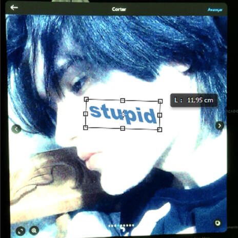 stupid | Boomplay Music