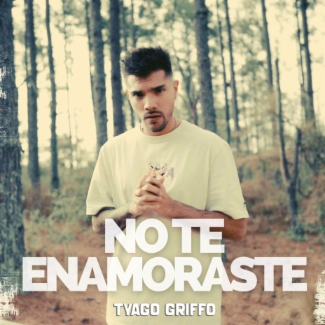 No Te Enamoraste | Boomplay Music