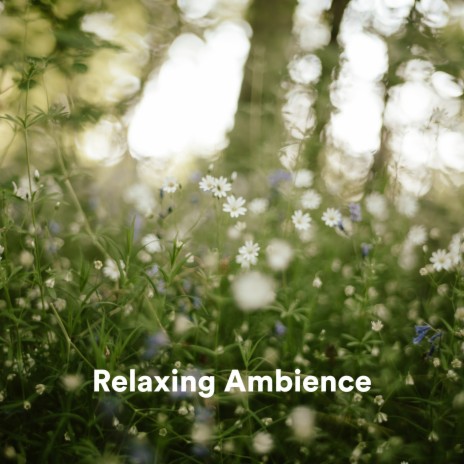 Calm Universe ft. Relax Ambience & Relaxing Music | Boomplay Music