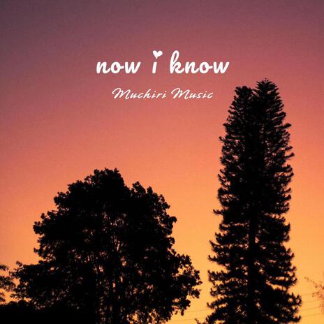 Now I Know | Boomplay Music