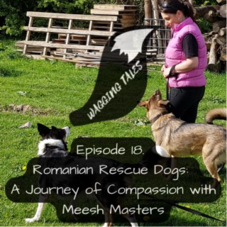 Ep18: Romanian Rescue Dogs: A Journey of Compassion with Meesh Masters