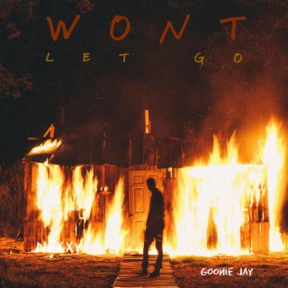Won't Let Go lyrics | Boomplay Music