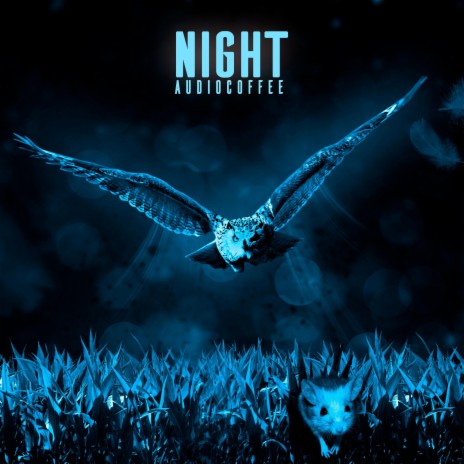 Night | Boomplay Music