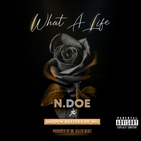What A Life ft. Shadow Boxxer & Dr. Shu | Boomplay Music