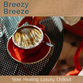 Slow Healing Luxury Chillout