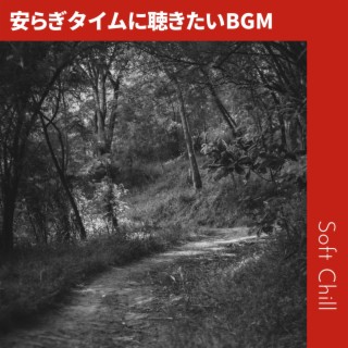 安らぎタイムに聴きたいBGM