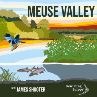 #8 Meuse Valley River Park - The Netherlands