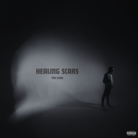 HEALING SCARS | Boomplay Music