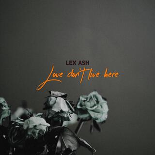 Love don't live here lyrics | Boomplay Music