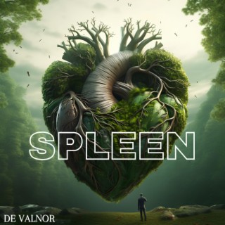 SPLEEN