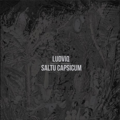 Saltu Capsicum (Hanzo goes Salto Mortale Remix)