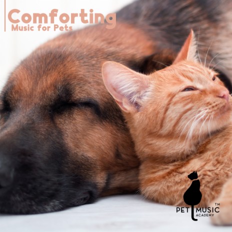 Care and Tenderness | Boomplay Music