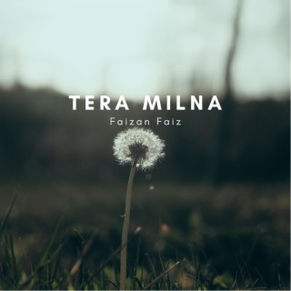 Tera Milna by Faizan Faiz