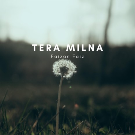 Tera Milna by Faizan Faiz | Boomplay Music