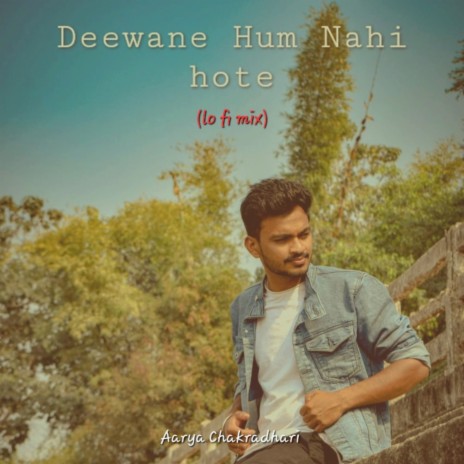 Deewane Hum Nahi (Lo Fi) | Boomplay Music