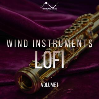 Wind Instruments Lofi, Vol. 1