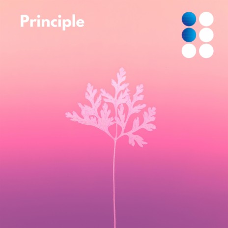 Principle | Boomplay Music