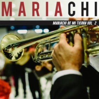 Mariachi De Mi Tierra Vol. 2