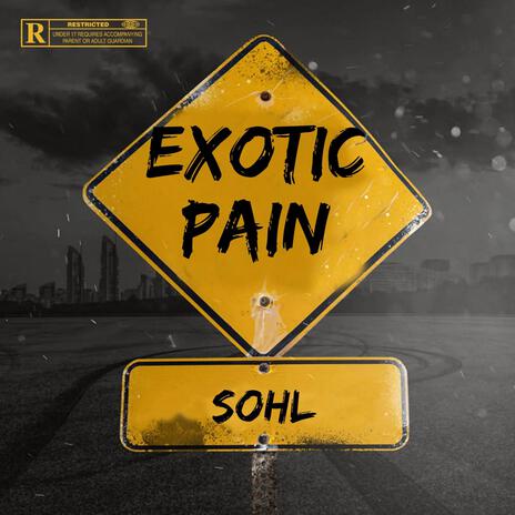 Exotic Pain | Boomplay Music