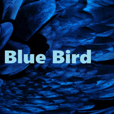 Blue Bird | Boomplay Music