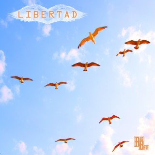 Libertad lyrics | Boomplay Music