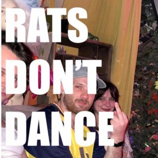 Rats Don't Dance lyrics | Boomplay Music