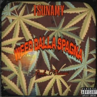 Weed dalla Spagna