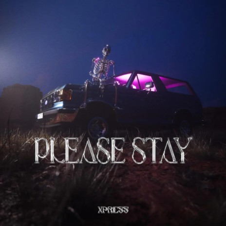 Please Stay | Boomplay Music