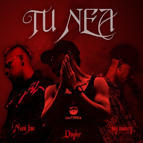 Tu Nea ft. Dayler & Big Money Music | Boomplay Music