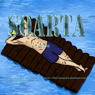 Soarta