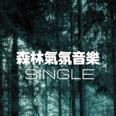 森林氣氛音樂 - Single ft. 大自然聲音 | Boomplay Music