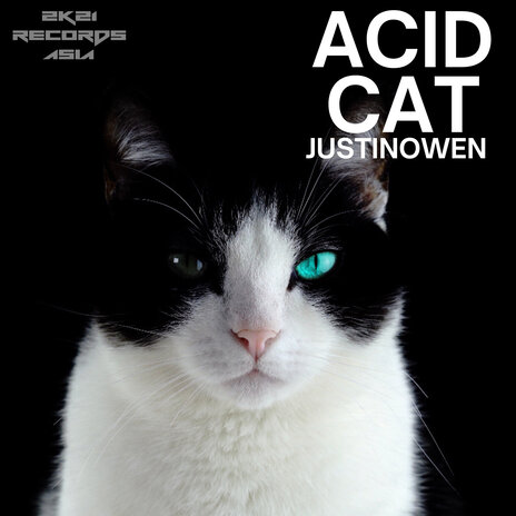 Acid Cat | Boomplay Music