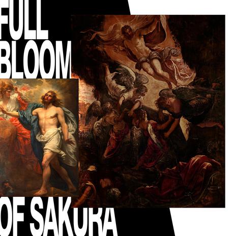 Full Bloom of Sakura | Boomplay Music