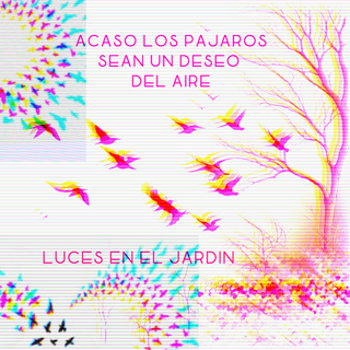 Acaso Los Pajaros Sean Un Deseo Del Aire