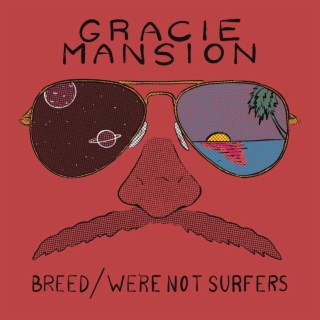 Breed/We're Not Surfers