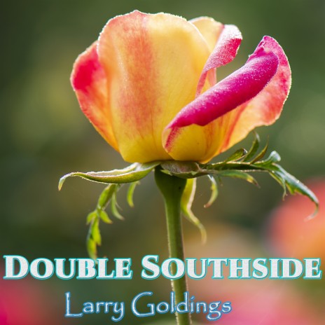 Double Southside